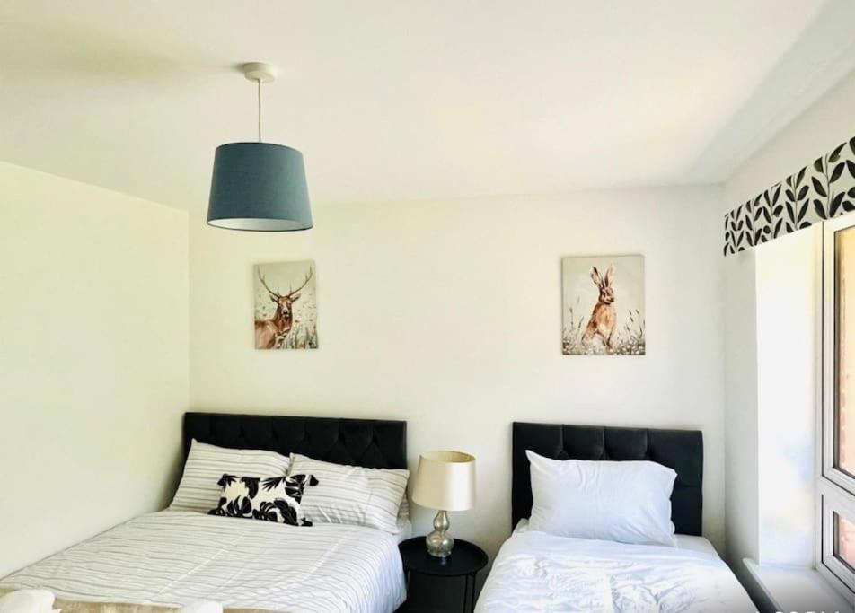 Ashford Retreat - Luxury Home With Double Parking Bagian luar foto